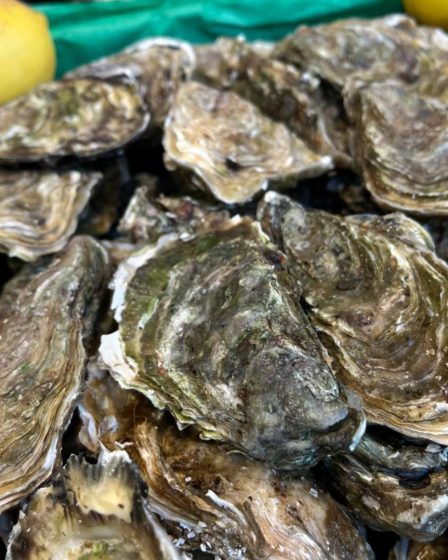 Une bourriche d'huîtres Pierrot Coquillages.