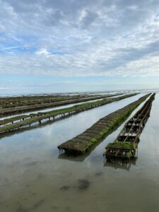 Bassin de Marennes d'Oléron