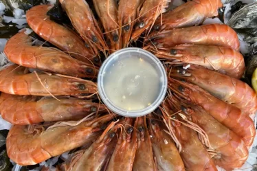 Les crevettes Pierrot Coquillages. apero marseille