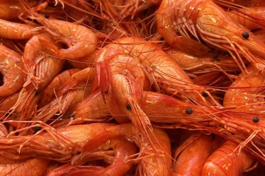 Les crevettes de Madagascar de chez Pierrot Coquillages.