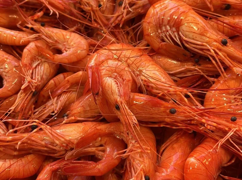 Les crevettes de Madagascar de chez Pierrot Coquillages.
