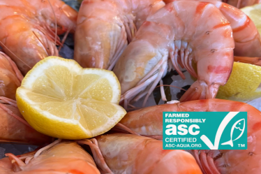 Les crevettes Label ASC en vente chez Pierrot Coquillages.