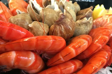 Un plateau de fruits de mer par Pierrot Coquillages.