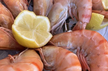 Les crevettes Pierrot Coquillages.