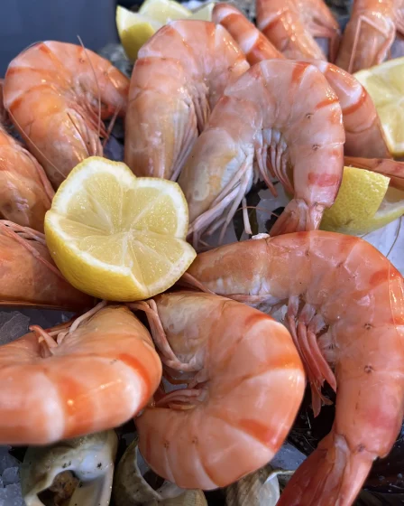 Les crevettes Pierrot Coquillages.