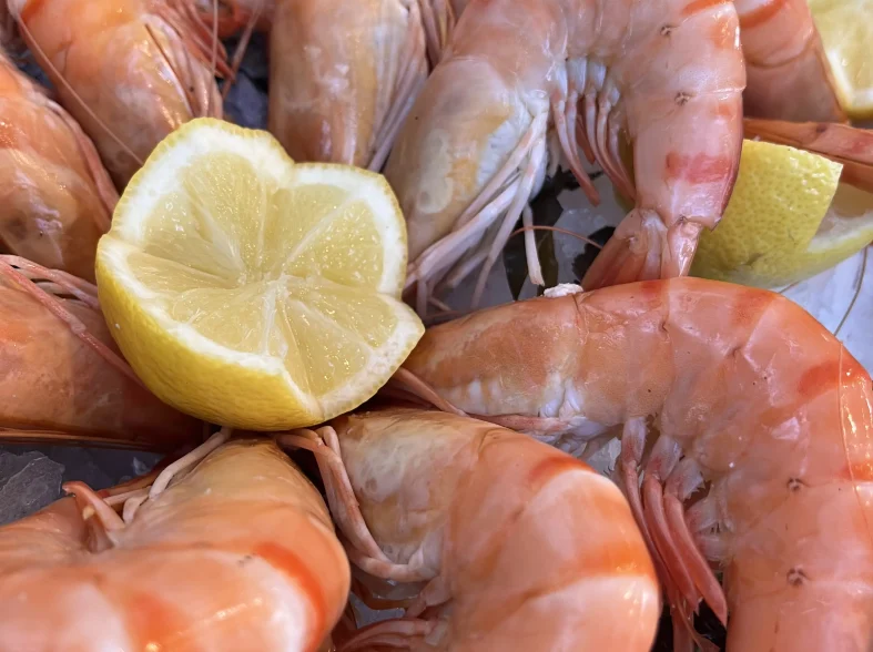 Les crevettes Pierrot Coquillages.