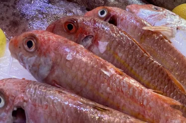Poissonnerie Pierrot Marseille – Poissons frais sélectionnés et préparés à la demande.