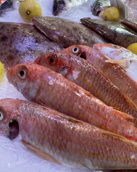 Poissonnerie Pierrot Marseille – Poissons frais sélectionnés et préparés à la demande.