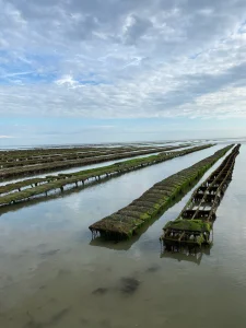 Un bassin ostréicole.
