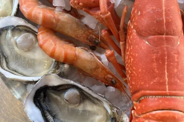 Plateau de fruits de mer frais livré à Marseille par Pierrot Coquillages