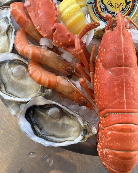 Plateau de fruits de mer frais livré à Marseille par Pierrot Coquillages