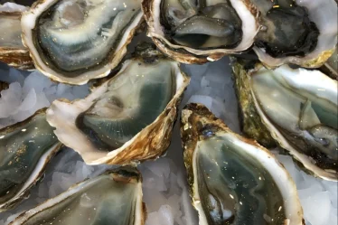 Les huitres de Pierrot Coquillages.