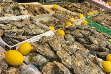 L'étal à huitres de Pierrot Coquillages.