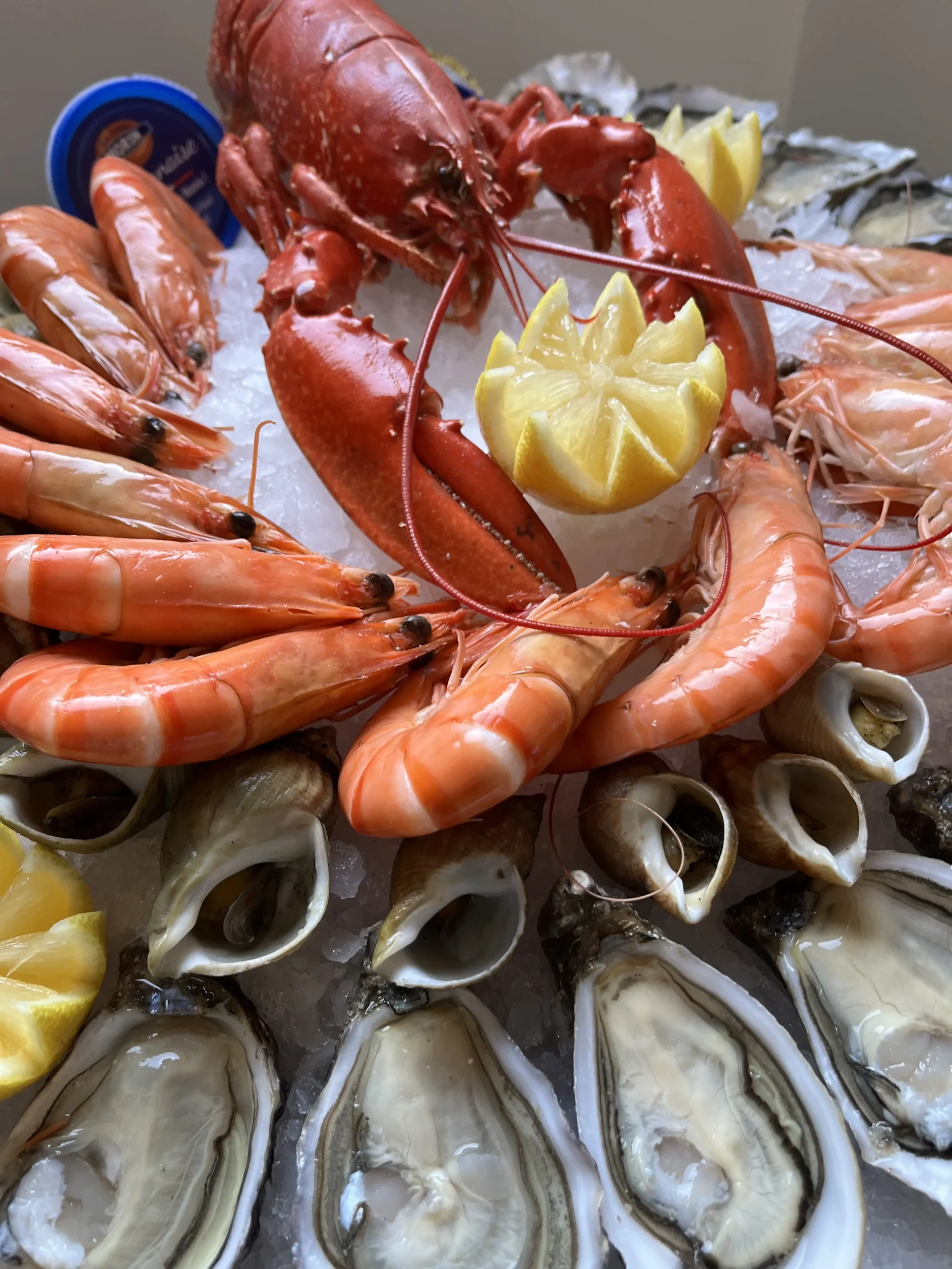 Un homard Pierrot Coquillages.