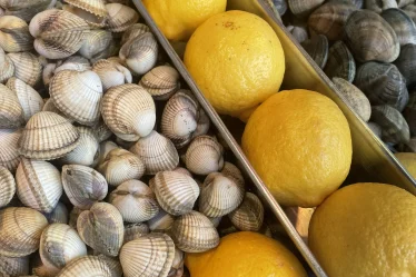 Les coquillages de chez Pierrot Coquillages.