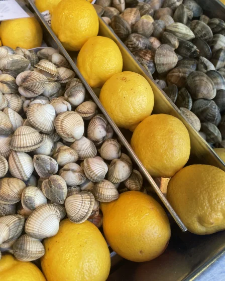Les coquillages de chez Pierrot Coquillages.