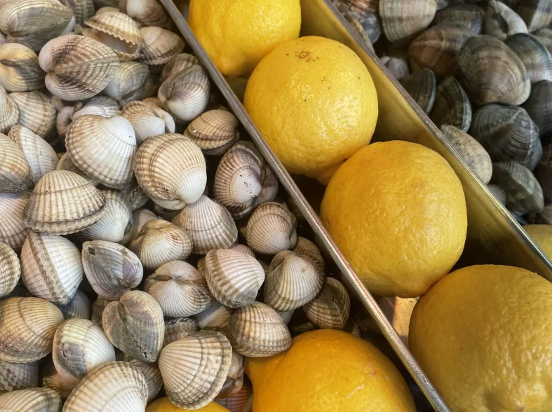 Les coquillages de chez Pierrot Coquillages.