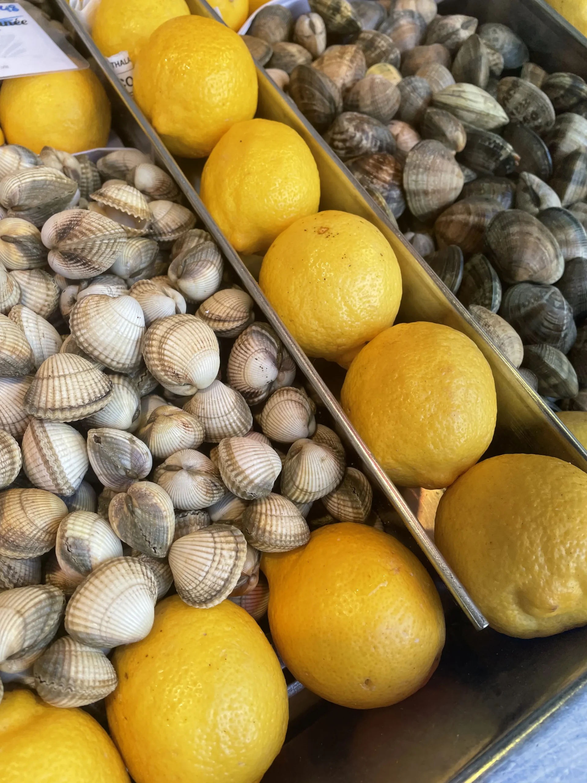 Les coquillages de chez Pierrot Coquillages.