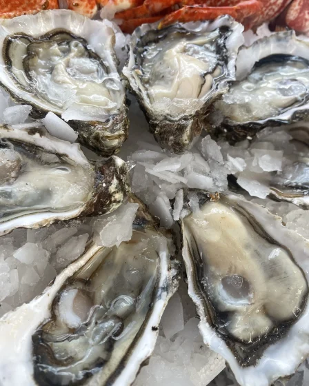 Des huitres Pierrot Coquillages.